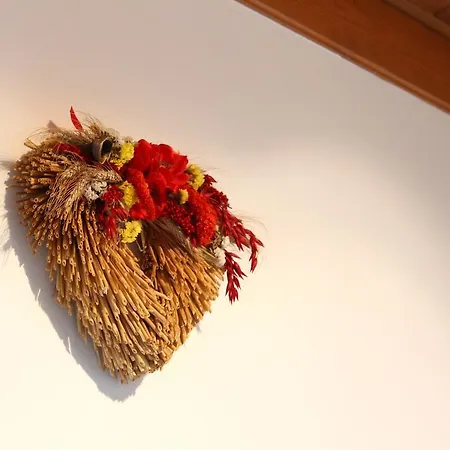 아파트 At Berghaus Glockner 하일리겐불루트